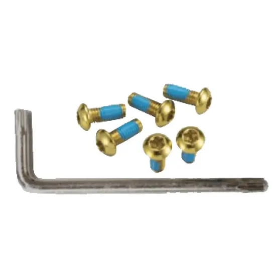 Г screws Alligator для крепления ротора Torx золотистый 6 шт + ключ