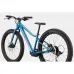 Велосипед 24" Cannondale TRAIL Plus OS 2024 DTE