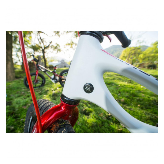 Велосипед детский ROYALBABY 16 BMX MG 