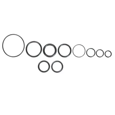 Набір ущільнювачів для 100 годинного сервісу системи Oppo в Lefty Ocho 120, K57021 Набір ущільнювачів для 100 годинного сервісу системи Oppo в Lefty Ocho 120, K57021