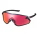 Окуляри SHIMANO S-PHYRE RIDESCAPE ROAD, сірий