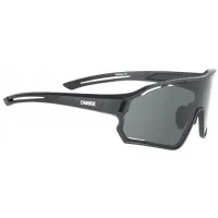 Очки ONRIDE Ecstasy матово черные с дымчатыми линзами (17%)