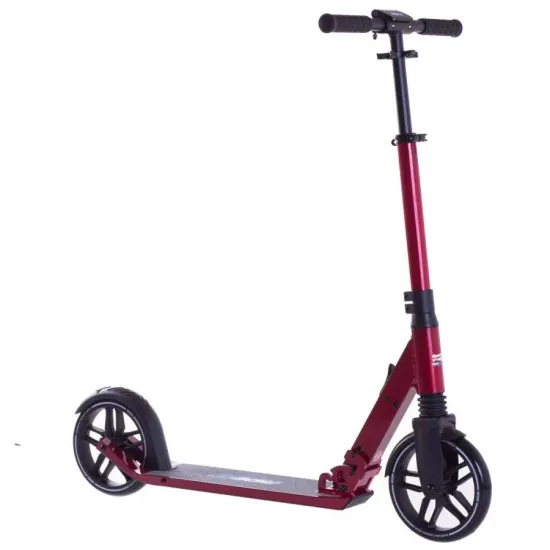 Самокат Rideoo 200 City Wire Red