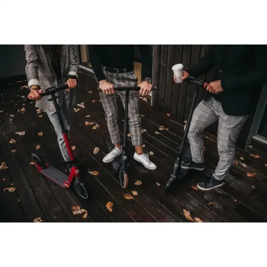 Самокат Rideoo 200 City Wire Red