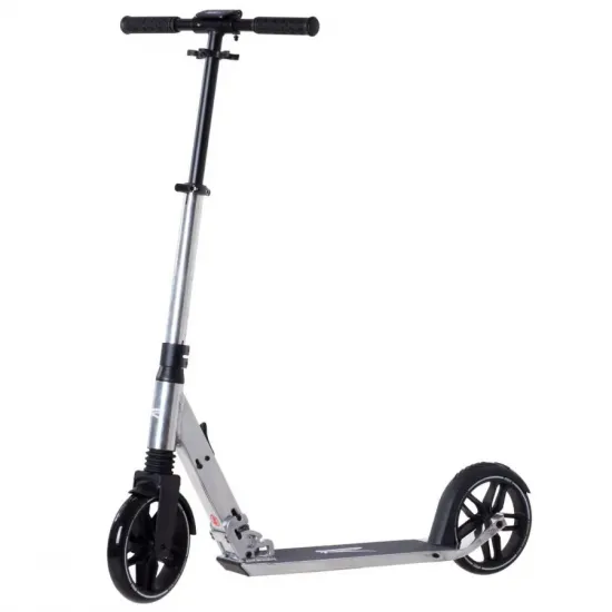 Самокат Rideoo 200 PRO City Silver
