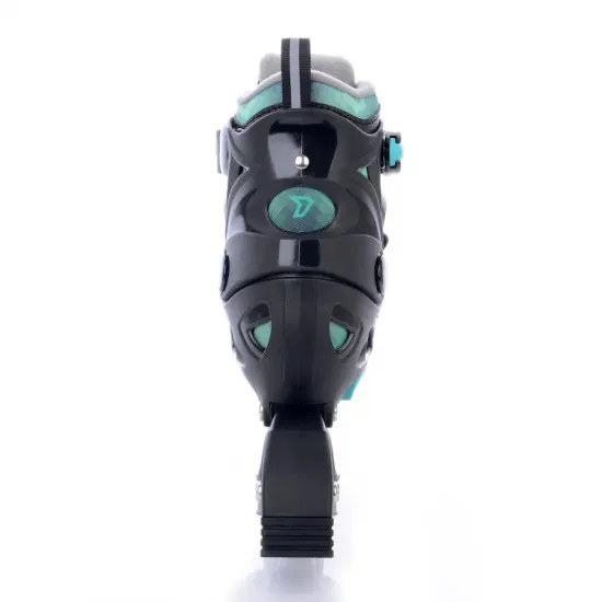 Роликовые коньки Tempish DASTY Boy/33-36