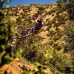 Покришка Continental Trail King 2.2, 27.5"x2.20, 55-584, Foldable, BlackChili, ProTection, Skin, чор