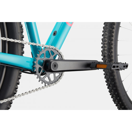 Велосипед 29" Cannondale TRAIL 2 рама - L 2026 IBL