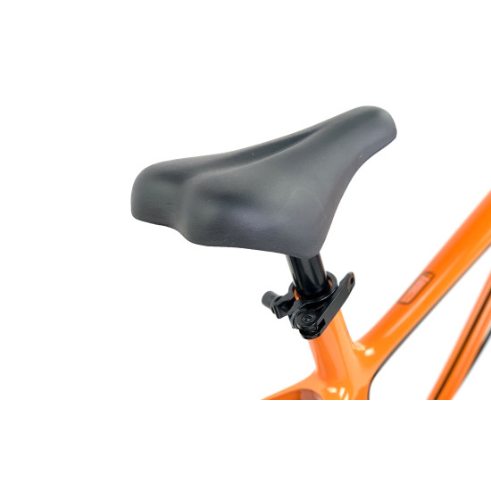 Велосипед RoyalBaby Chipmunk MOON ECONOMIC MG 18", OFFICIAL UA, помаранчевий