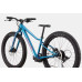 Велосипед 24" Cannondale TRAIL Plus OS 2024 DTE